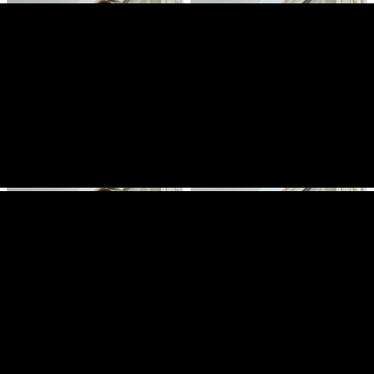 gid://shopify/MediaImage/25388444418166